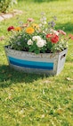 Blumentopf Boot von GARDEN DREAM für 8,99 € bei Netto mit dem Scottie im Angebot Blumentopf Boot von GARDEN DREAM im aktuellen Netto mit dem Scottie Prospekt