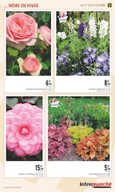 Promos Camélia dans le catalogue "JARDIN D'AUTOMNE" de Intermarché à la page 5