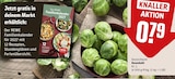Rosenkohl im Angebot bei REWE in Sankt Augustin Rosenkohl Angebote bei REWE Sankt Augustin für 0,79 €