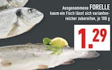 Aktuelle Fisch Angebote bei Marktkauf in Bochum Aktuelles Forelle Angebot bei Marktkauf in Bochum ab 1,29 €