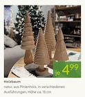 Holzbaum bei Pflanzen Kölle im Neuenhagen Prospekt für 4,99 €