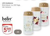 Aktuelles LED-Grabkerze Angebot bei GLOBUS in Trier ab 5,99 €