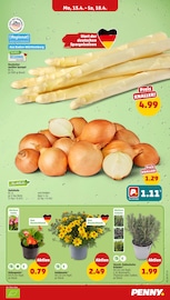 Spargel im Penny Prospekt in Lörrach Aktueller Penny Prospekt mit Spargel, "Wer günstig will, muss Penny.", Seite 7