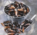 Moules de Bouchot - Netto à Rueil-Malmaison Moules de Bouchot en promo chez Netto Rueil-Malmaison à 5,99 €