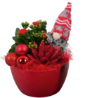 Unterschiedlich bepflanzte Schalen im aktuellen Hagebaumarkt Prospekt für 9,99 €