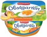 Obstgarten Angebote von Ehrmann bei Kaufland Siegen für 0,49 €