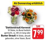 Dahlienstrauß Karneval im Angebot bei EDEKA in Memmingen Dahlienstrauß Karneval Angebote bei EDEKA Memmingen für 7,99 €