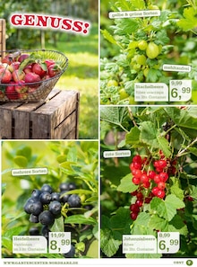 Obst im Garten-Center Nordharz GmbH & Co. KG Prospekt "ES DUFTET NACH FRÜHLING!" mit 12 Seiten (Hannover)