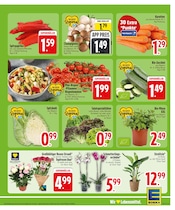 Aktueller EDEKA Prospekt mit Gemüse, "Wir lieben Lebensmittel.", Seite 5