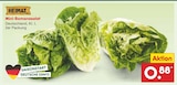 Netto Marken-Discount Bonerath - Mini-Romanasalat Angebot im Prospekt Mini-Romanasalat bei Netto Marken-Discount im Bonerath Prospekt für 0,88 €