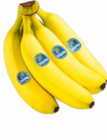 Bananen im Netto Marken-Discount Prospekt Bananen von Chiquita im aktuellen Netto Marken-Discount Prospekt für 1,75 €