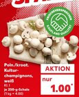 Kultur-champignons bei Kaufland im Prospekt "" für 1,00 €