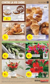 Chocolat Angebote im Prospekt "TOUT VOTRE MAGASIN CONTRE LA VIE CHÈRE" von Intermarché Chocolat Angebote im Prospekt "TOUT VOTRE MAGASIN CONTRE LA VIE CHÈRE" von Intermarché auf Seite 13