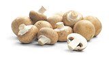 Braune Champignons Angebote von REWE Regional bei REWE Fürth für 1,49 €