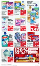 Hygienespüler Angebot im aktuellen Kaufland Prospekt auf Seite 25