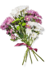 Kaufland Pesterwitz - Chrysanthemen-Mix Angebot im Prospekt Chrysanthemen-Mix bei Kaufland im Pesterwitz Prospekt für 3,49 €