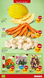 Aktueller Penny Prospekt mit Tierfutter, "Wer günstig will, muss Penny.", Seite 5