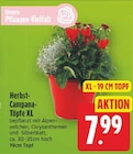 E center Berlin Prospekt mit  im Angebot für 7,99 €