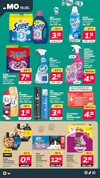 Purina Angebot im aktuellen Netto mit dem Scottie Prospekt auf Seite 12