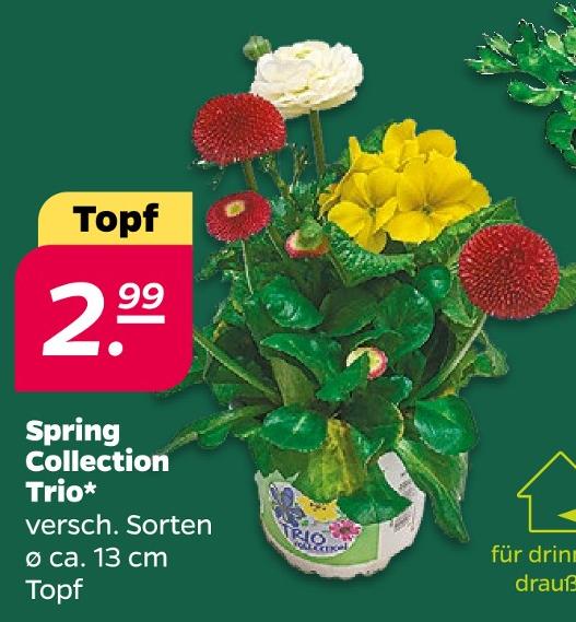 Spring Collection Trio