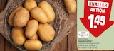 Speisekartoffeln im Angebot bei REWE in Karlsruhe Speisekartoffeln Angebote von REWE Regional bei REWE Karlsruhe für 1,49 €