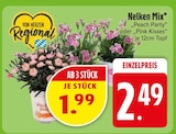 Nelken Mix Peach Party Angebote bei EDEKA Friedrichshafen für 1,99 €
