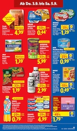 Maggi im Lidl Prospekt in Bielefeld Aktueller Lidl Prospekt mit Maggi, "LIDL LOHNT SICH", Seite 69