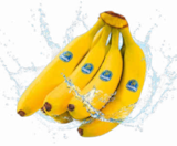 Bananen im Angebot bei Netto Marken-Discount in Pirmasens Bananen Angebote von Chiquita bei Netto Marken-Discount Pirmasens für 1,99 €