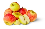 Penny - Rote Äpfel Angebot im Prospekt Rote Äpfel bei Penny im Prospekt für 2,49 €