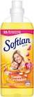 Weichspüler Angebote von Softlan bei EDEKA Münster für 1,29 €