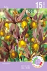 Thomas Philipps Riedlingen - Iris Angebot im Prospekt Iris bei Thomas Philipps im Riedlingen Prospekt für 1,99 €