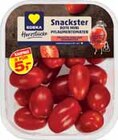 Mini-Pflaumentomaten bei EDEKA im Appen Prospekt für 2,49 €