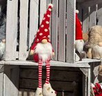 Wichtel im Pflanzen Kölle Prospekt Wichtel von im aktuellen Pflanzen Kölle Prospekt für 14,99 €