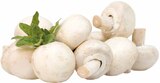 Champignons „weiß“ bei EDEKA im Prospekt "" für 1,49 €