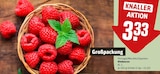 Himbeeren Angebote bei REWE Goslar für 3,33 €