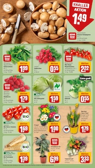 Kleidung im REWE Prospekt "Dein Markt" mit 28 Seiten (Bielefeld)