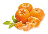 Mandarinen Nadorcott für 1,99 € bei Netto mit dem Scottie im Angebot Mandarinen Nadorcott im aktuellen Netto mit dem Scottie Prospekt