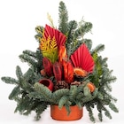 Angebot im Hagebaumarkt Frammersbach Prospekt Hagebaumarkt Frammersbach Prospekt mit  im Angebot für 19,99 €