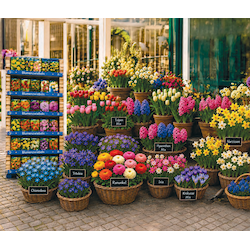 Blumenzwiebeln