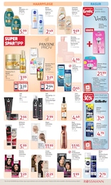 Shampoo im Rossmann Prospekt Mein Drogeriemarkt auf S. 8