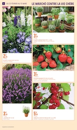 Offre Arbre Fruitier dans le catalogue Intermarché Super du moment à la page 4