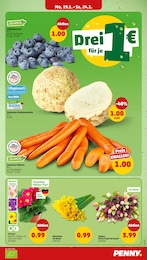 Pflanzen Angebot im aktuellen Penny Prospekt auf Seite 5