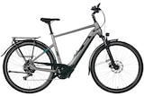 Pegasus Evo CX 750 Wh Herren silber 2024 im Angebot bei Radwelt Coesfeld in Münster Pegasus Evo CX 750 Wh Herren silber 2024 Angebote von Pegasus bei Radwelt Coesfeld Münster für 2.999,00 €