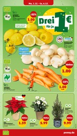 Aktueller Penny Prospekt mit Blumen, "Wer günstig will, muss Penny.", Seite 8