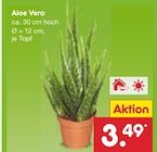 Aloe Vera im Netto Marken-Discount Prospekt Aloe Vera von im aktuellen Netto Marken-Discount Prospekt für 3,49 €
