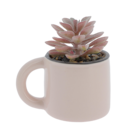B&M Saint-Priest-en-Jarez - Promo Succulente dans pot mug Promo Succulente dans pot mug à 1,79 € dans le catalogue B&M à Saint-Priest-en-Jarez