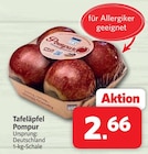 Aktuelles Tafeläpfel Angebot bei nah&frisch in Münster ab 2,66 €