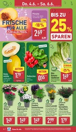 Pflanzen im ALDI Nord Prospekt in Hildesheim Aktueller ALDI Nord Prospekt mit Pflanzen, "Aktuelle Angebote", Seite 29