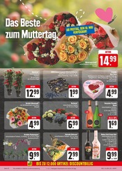 Ähnliche Angebote wie Narzissen im Prospekt "Wir lieben Lebensmittel!" auf Seite 21 von E center in Fürth