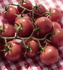 Tomate cocktail grappe zéro résidus de pesticides à 3,29 € dans le catalogue Géant Casino
